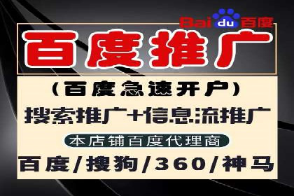 移动支付中充值返点模式探究